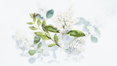 4k高清简约古风系列