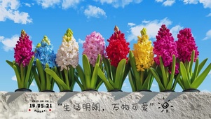 生活明朗 万物可爱
