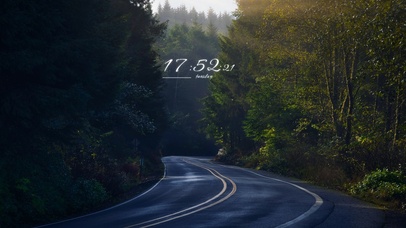 4k超清 森林公路