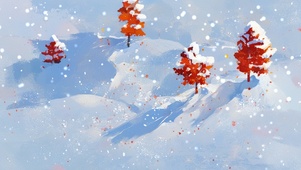 雪松  壁纸