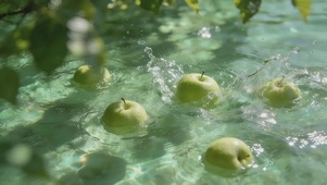 果香夏日-青苹果
