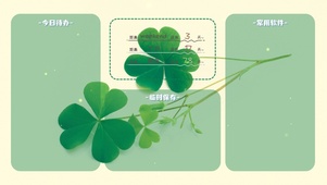 简约清新分区桌面