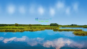 win11 唯美湿地