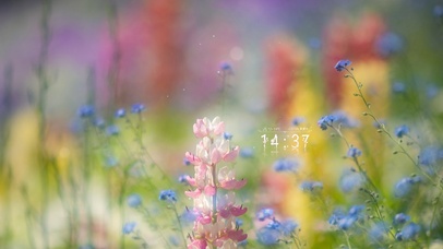 唯美治愈春日花园