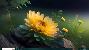 小清新鲜花