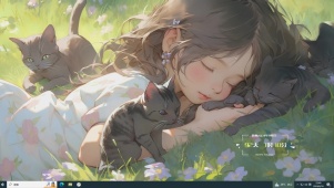 小猫们