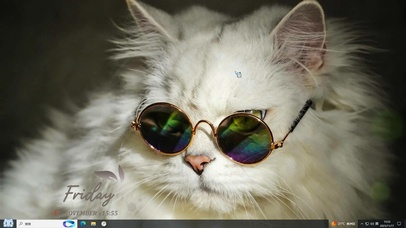 墨镜猫主题壁纸