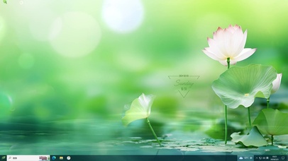 护眼 摇曳荷花