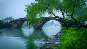 石桥湖边柳树