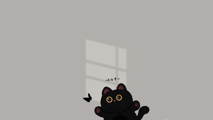 黑猫扑蝶