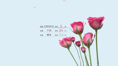 4k高清治愈小清新系列