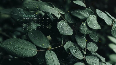 4k高清ins风绿色植物系列