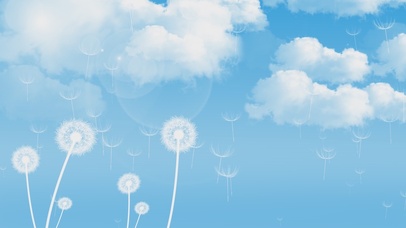 蒲公英蓝天白云