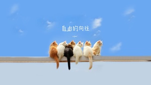 2025自由的向往