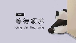 等待领养