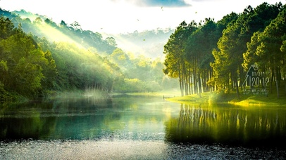 4K护眼阳光绿林湖面