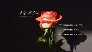 4k高清冷美治愈系列
