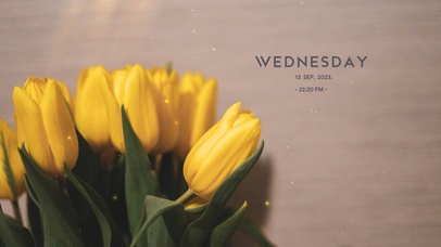 阳光清新郁金香桌面