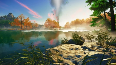 4K唯美治愈湖边森林风景