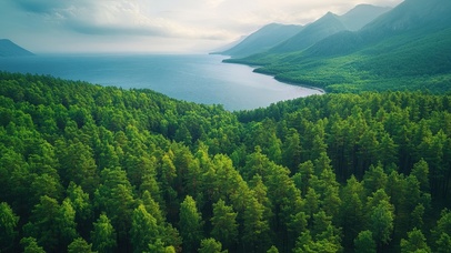 绿色护眼贝加尔湖畔森林