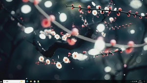 寒枝梅绽-桌面主题