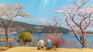 唯美治愈樱花风景（带真实时间）