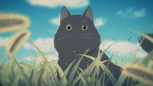 草里的小猫咪