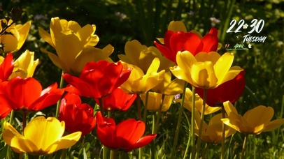 4k温暖风景桌面壁纸