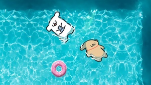 泳池可爱狗狗