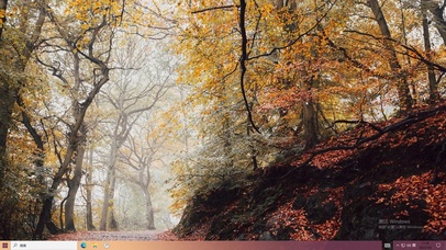 停车坐爱枫林晚