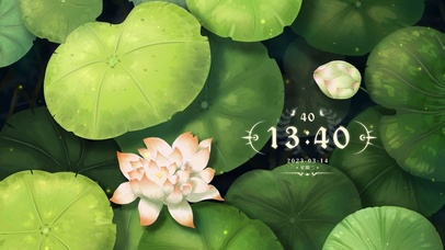 4k温馨夏日荷花