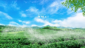 唯美治愈茶园