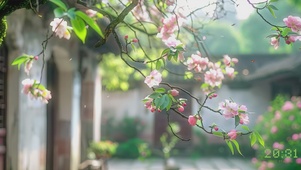 庭院春意