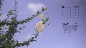 唯美花朵【含时间日历天气】