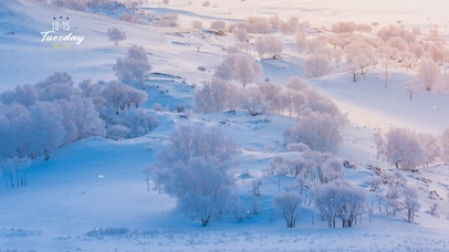白雪皑皑~【唯美自愈风】