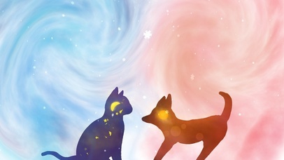 猫猫与狗狗 日月与星辰