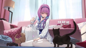 爱猫猫