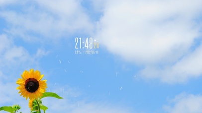 4k高清唯美小清新系列