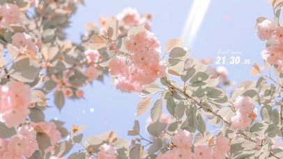 治愈唯美盛开的茶树花