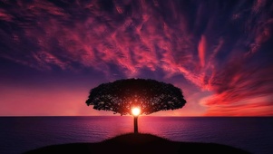 夕阳海岸