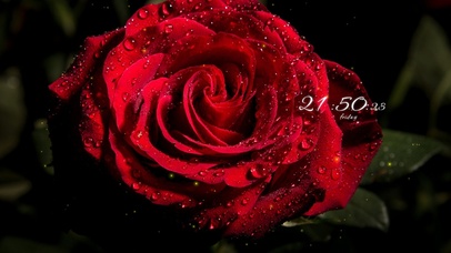 简约高级系壁纸