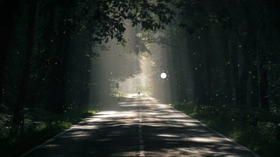 密林少有人走的小路