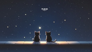 看流星的一对猫咪
