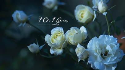 4k高清治愈冷美系列