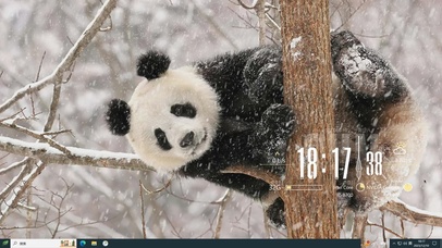 雪天熊猫主题