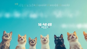 猫咪的凝视