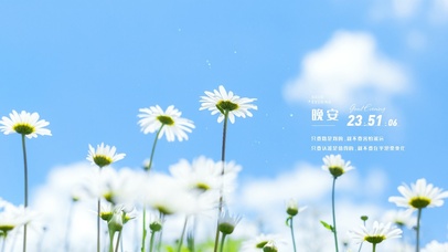 4K唯美治愈小清新雏菊