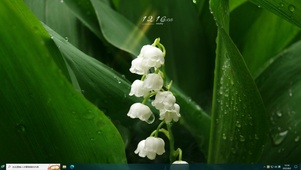 4K治愈护眼 雨后铃兰