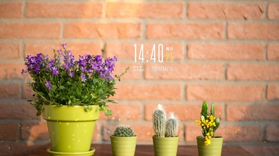 小清新绿植桌面