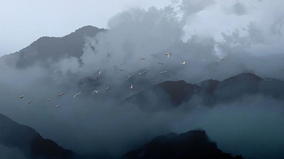 伊吹-天山鸟飞绝